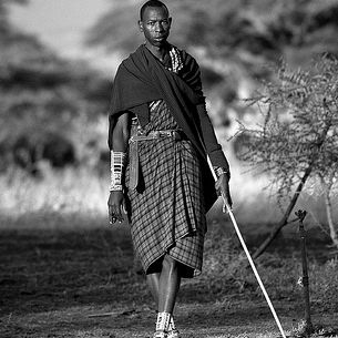 Maasai warrior  - Kenya